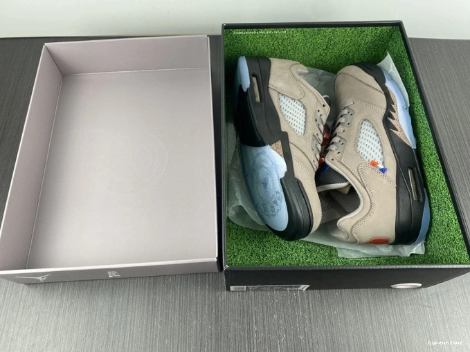 HYPE Low DX6325-204 x 5 Jordan Air PSG 0704